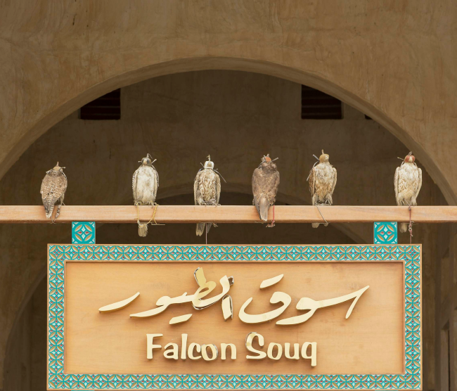 Falcon Souq