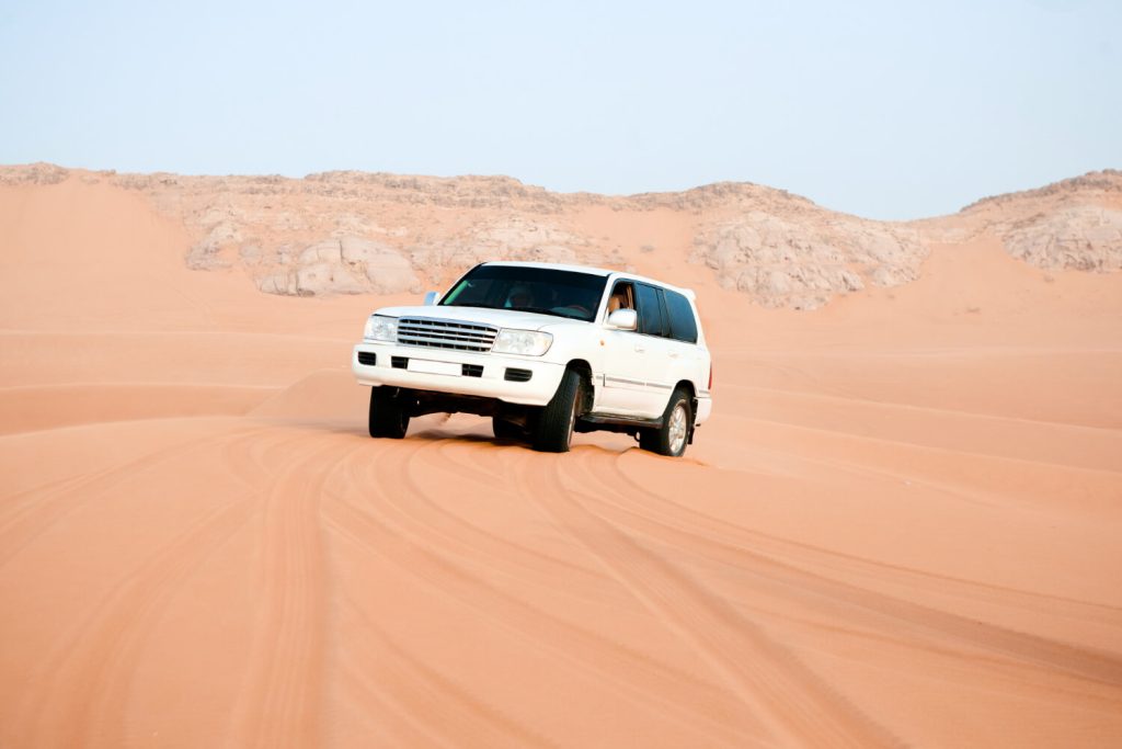 Dessert Safari