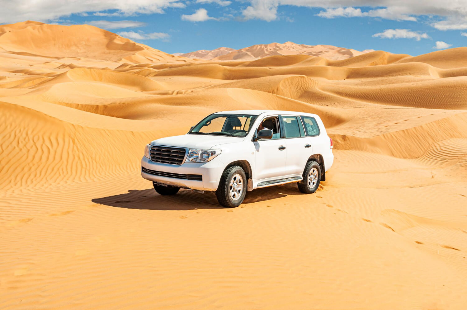 Dessert Safari