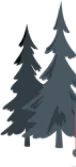 Shape Image