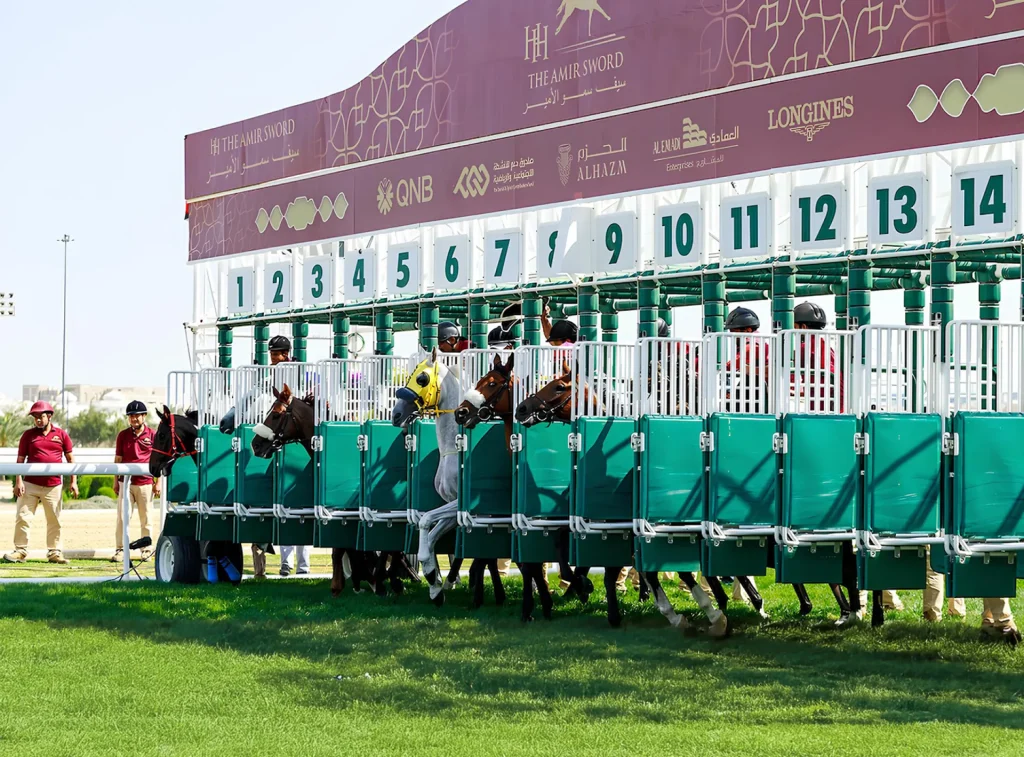 Arabian Horse Racing-4 Hrs