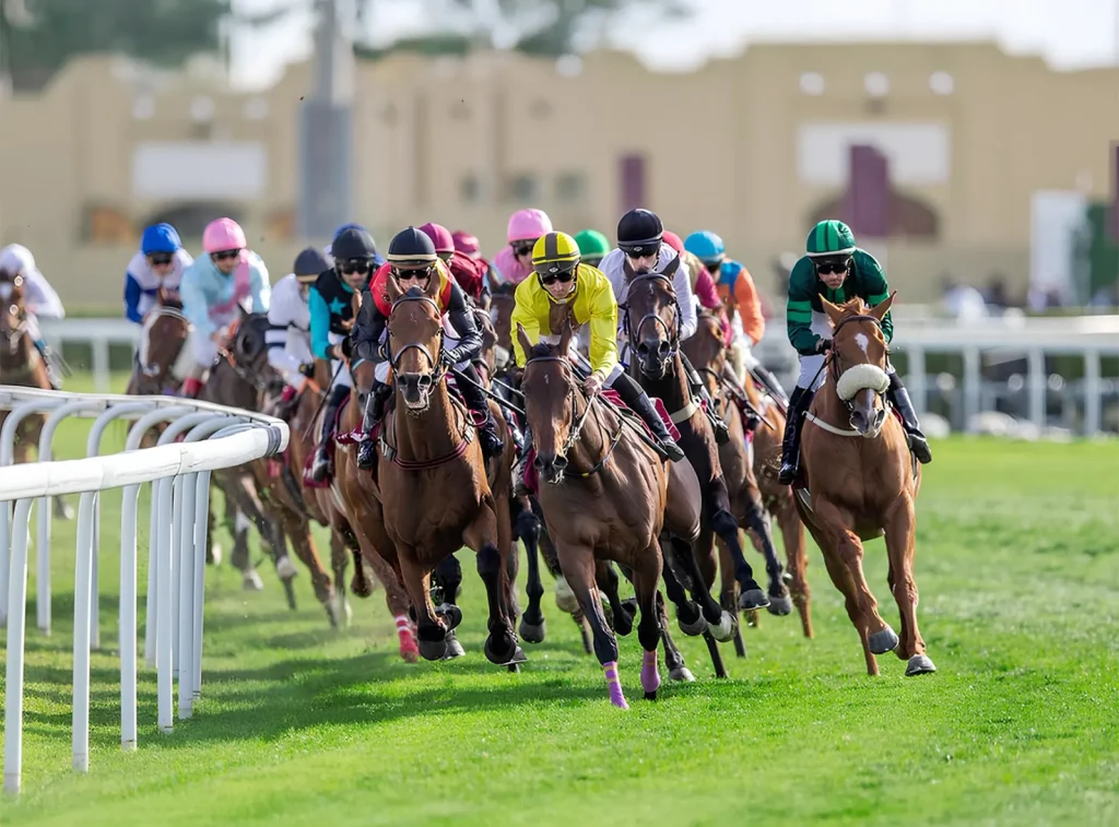 Arabian Horse Racing-4 Hrs