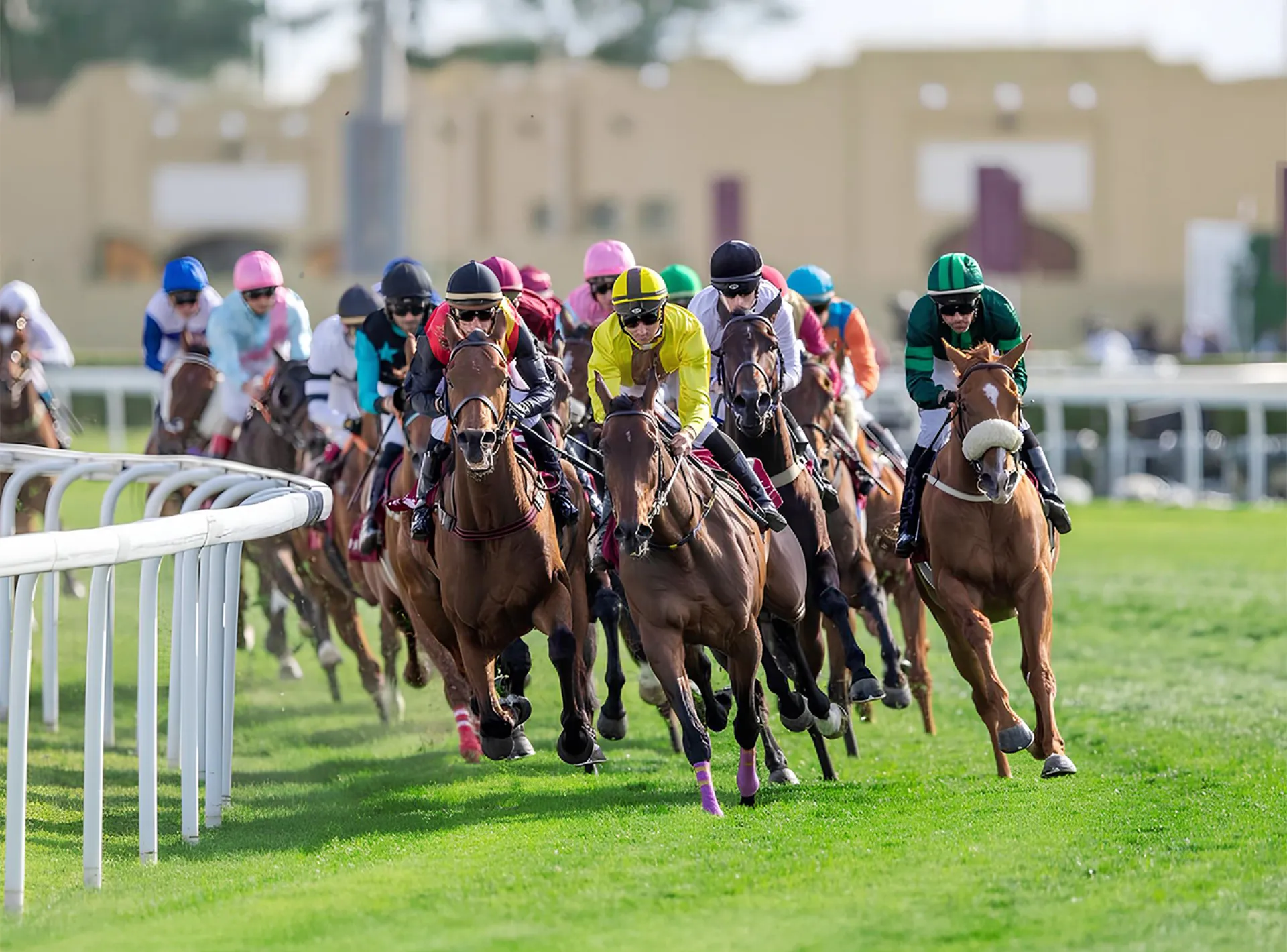 Arabian Horse Racing-4 Hrs