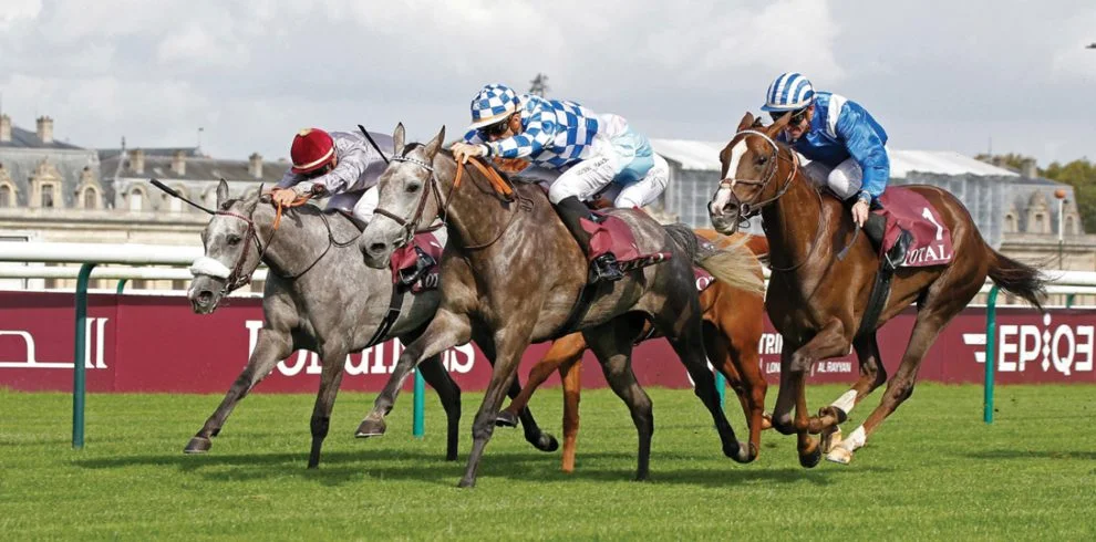 Arabian horse racing in Qatar, showcasing purebred steeds and traditional local passion for the sport.