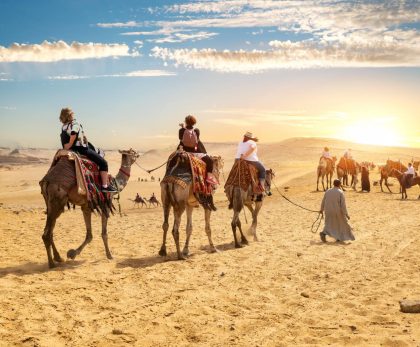 Desert Safari