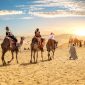 Desert Safari
