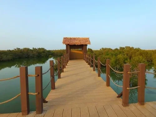 View of Purple Island in Qatar with lush mangroves and calm blue waters creating a peaceful natural escape.
