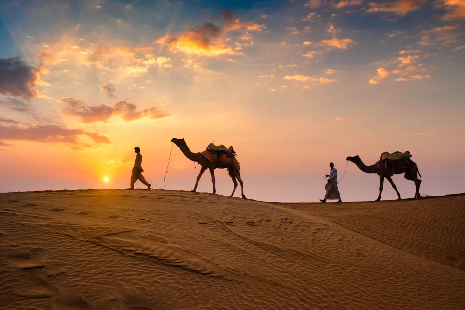 desert safari in qatar