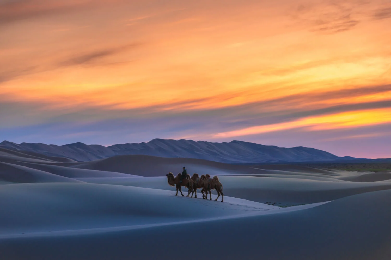 desert safari in qatar