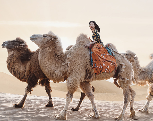 desert activities in Qatar including dune bashing, camel rides, sandboarding, and desert camping.