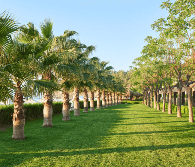 Al Bidda Park