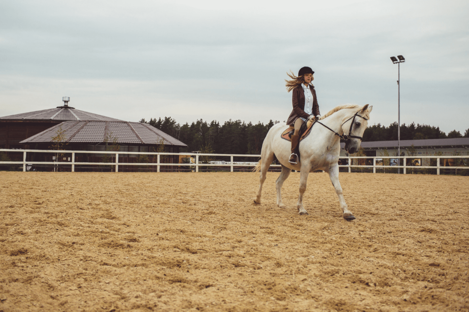 Al Shaqab Equestrian Center