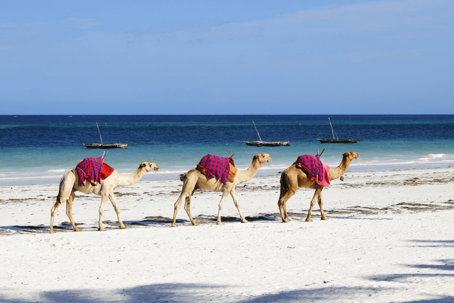 Al Wakrah Beach
