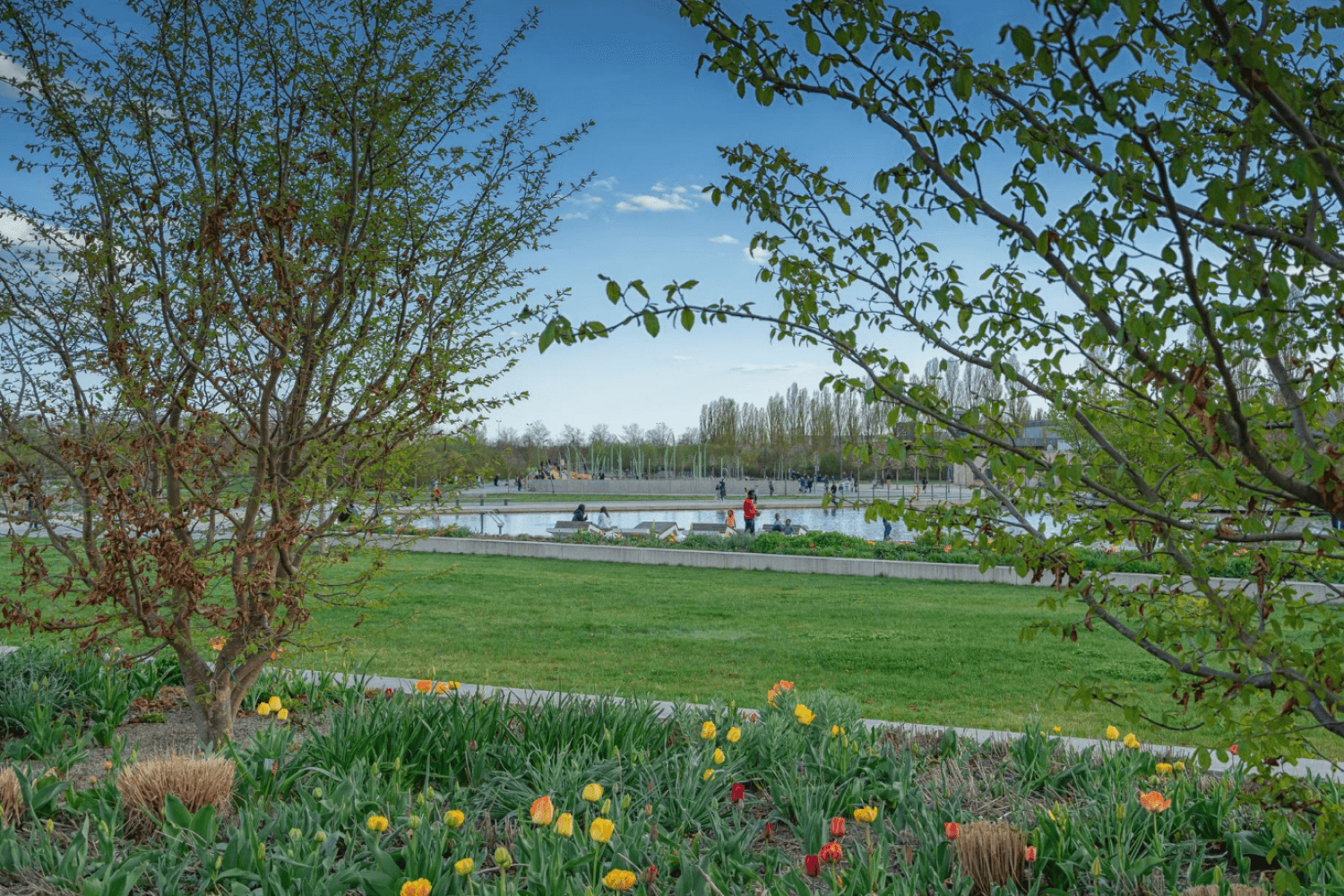 Al Wukair Green Spaces