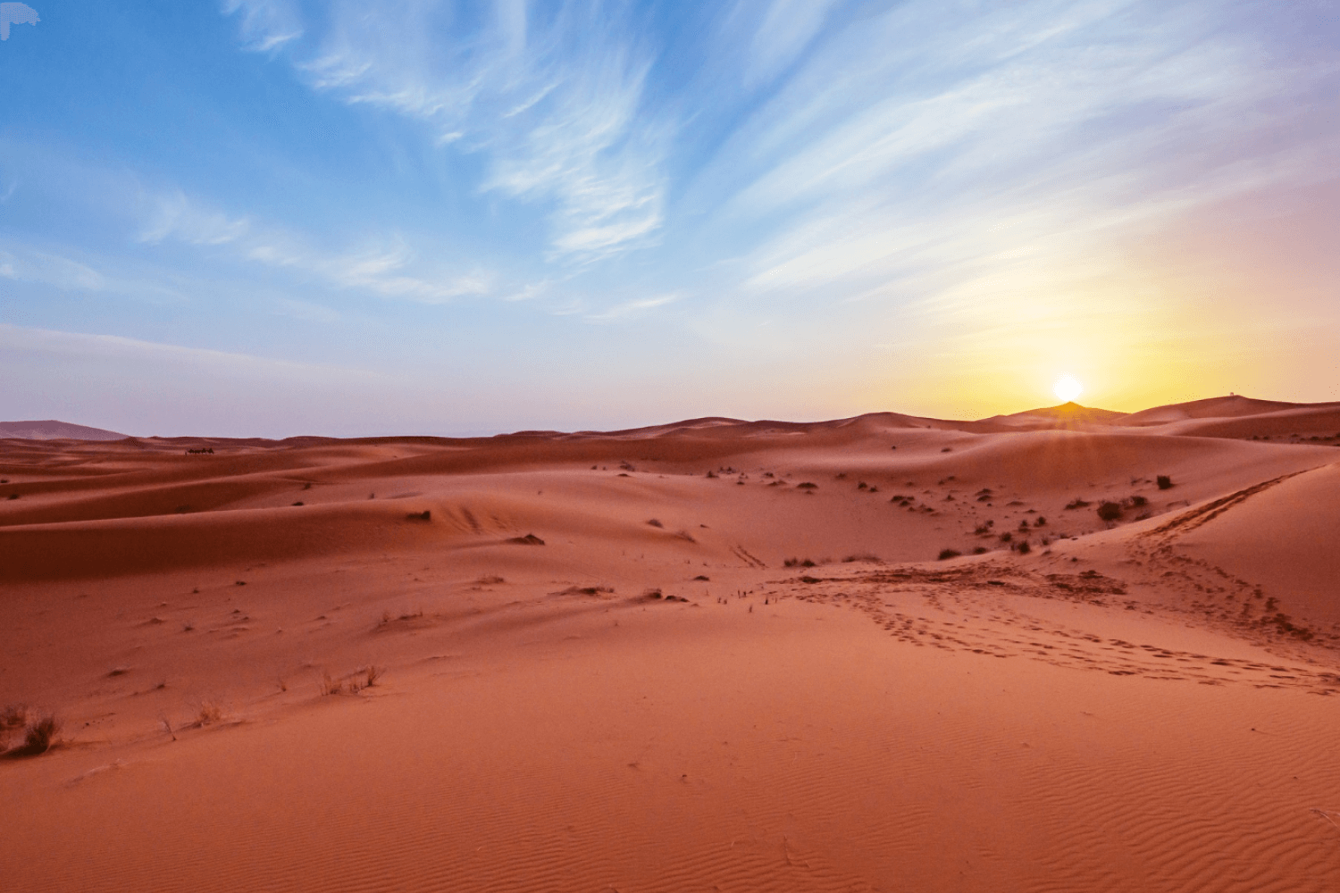 Zekreet Desert